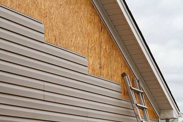 Professional Storm Damage Siding Repair technician working in Thornton, CO